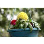 _MG_2949.JPG