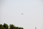 IMG_5260e.jpg