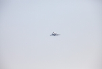 IMG_5264e.jpg