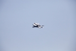 IMG_5270e.jpg
