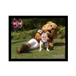 mississippi_state_mascot-9851.jpg